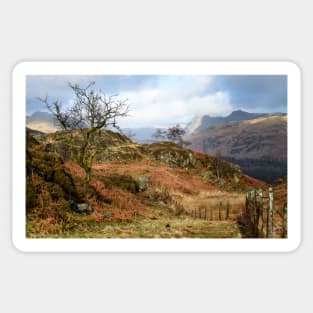 Holme Fell Fenceline Sticker